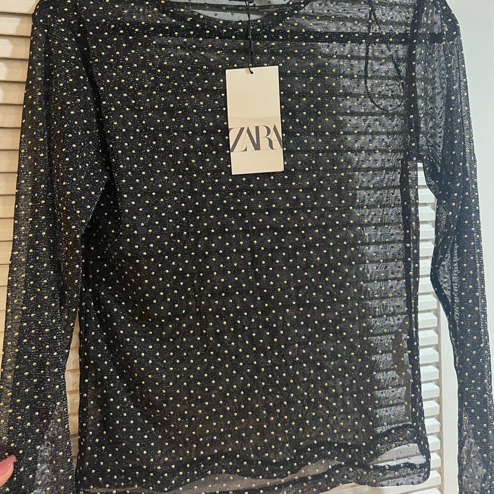 Zara see through top! So cute
